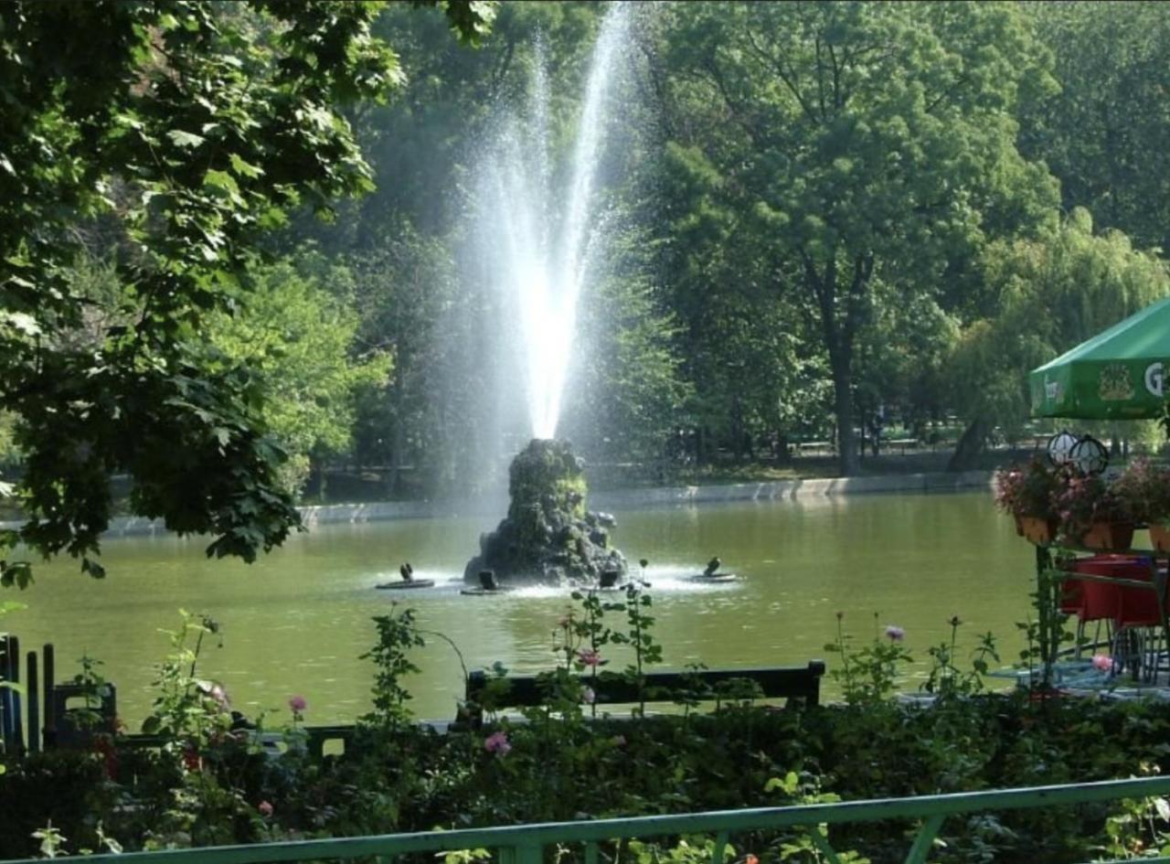 Cismigiu Grand Apartament *