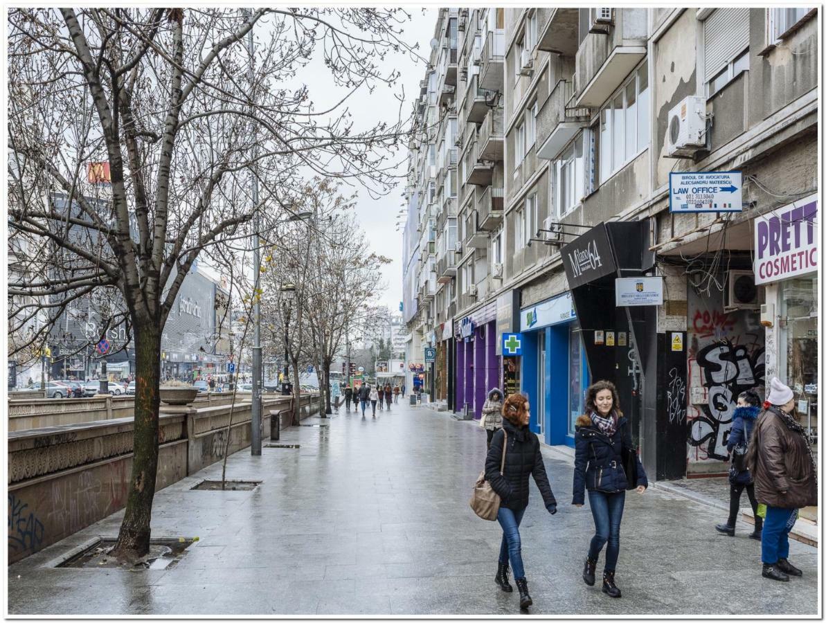 Spacious, Lovely, Bright In The Old Town
