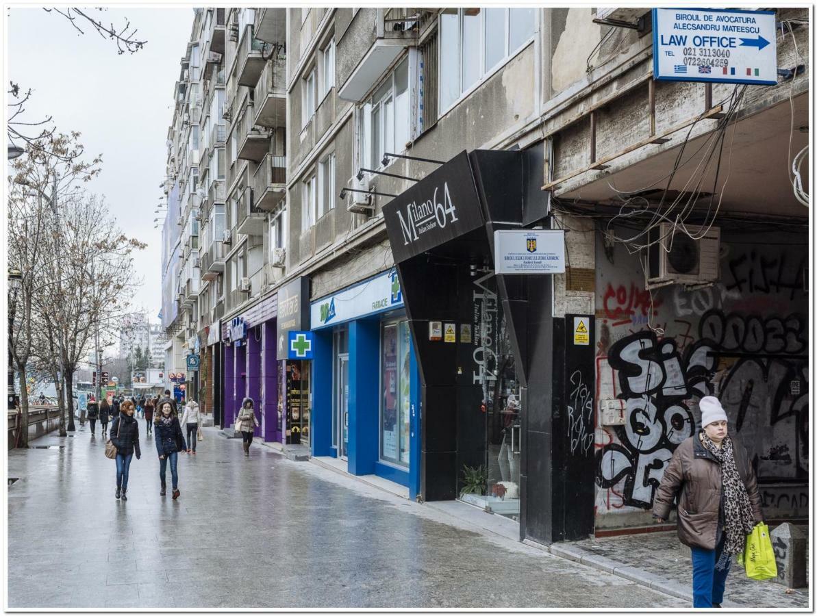 Spacious, Lovely, Bright In The Old Town *
