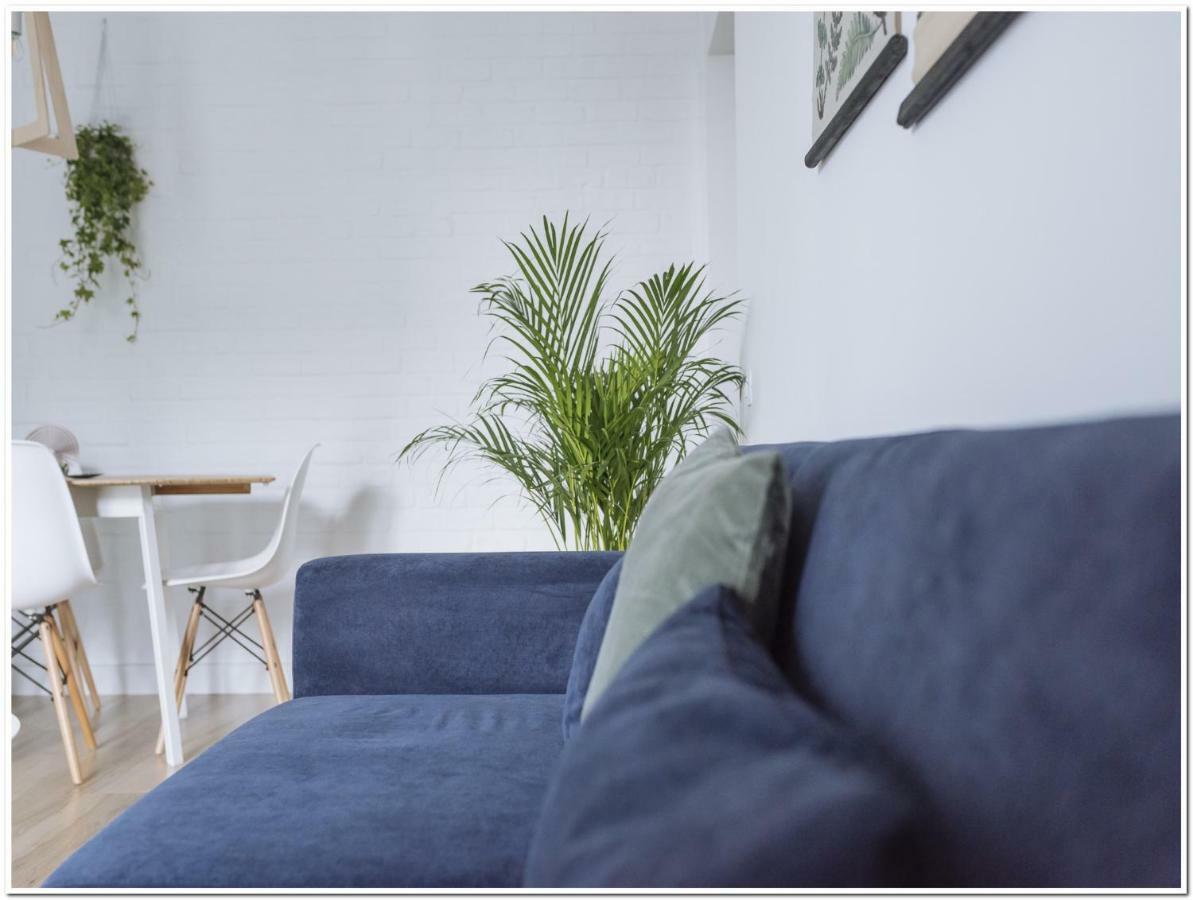 Apartament Spacious, Lovely, Bright In The Old Town