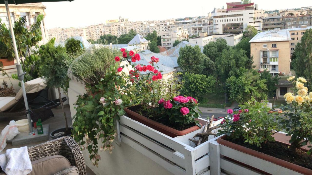 Apartino - Luxury View - Self Check-in * Bucareste