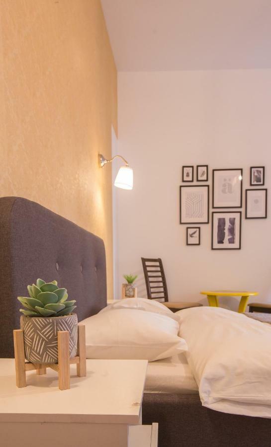 Color Nicolae Tonitza St Apartment