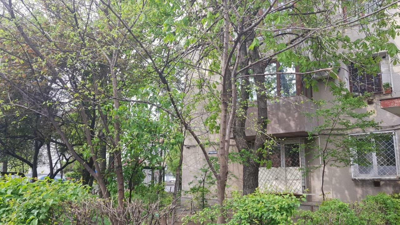 Apartment Eden