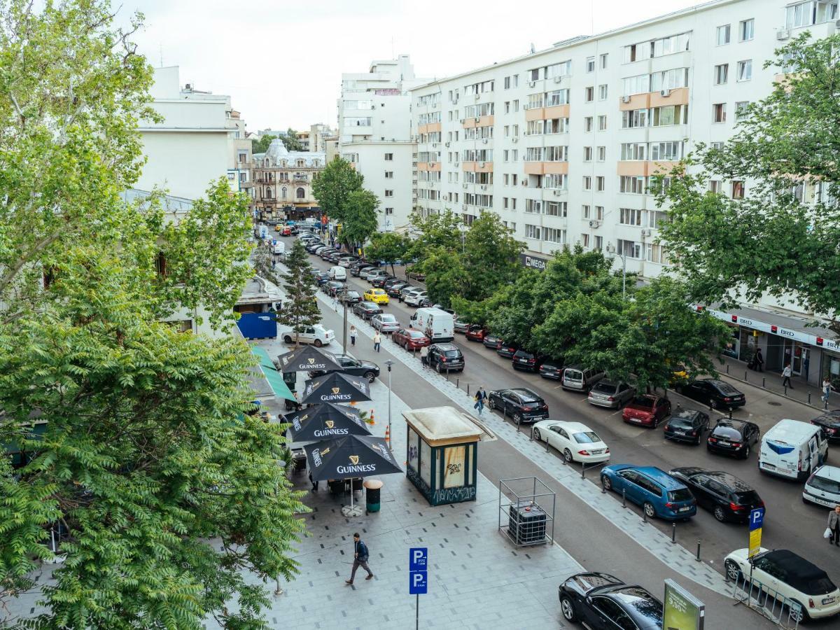Apartment Bright And Spacious Apartment- Piata Amzei