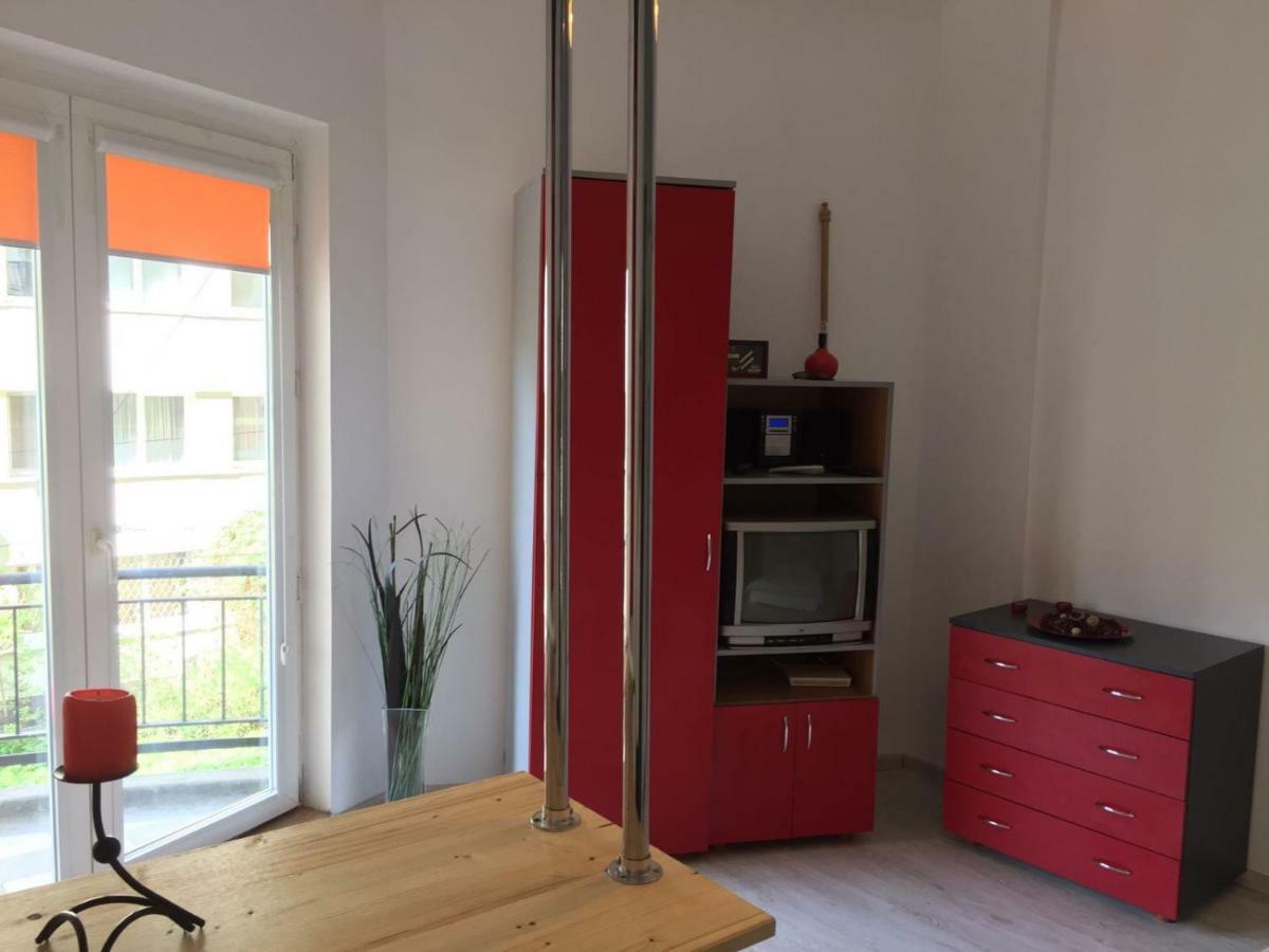 Apartment Cismigiu Garden Studio