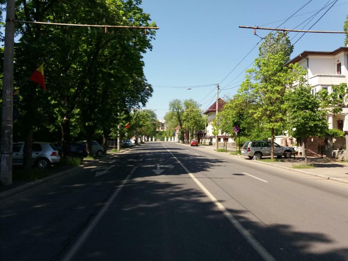 12 Cotroceni Guest house