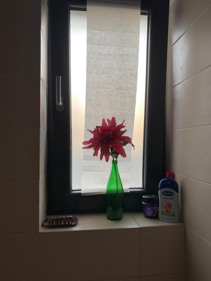 Beautiful Greenfield Apartment *