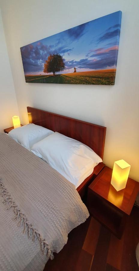 Apartment Sweet Dreams Cismigiu Gardens