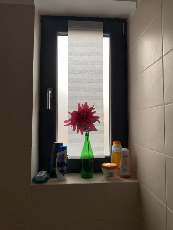 Beautiful Greenfield Apartment Bucharest