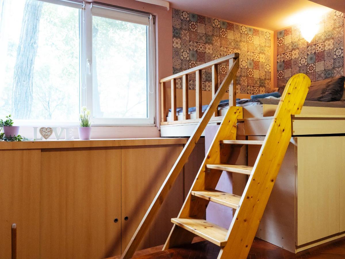 Apartament Woody - Cozy And Quiet Place Near Moghioros Park
