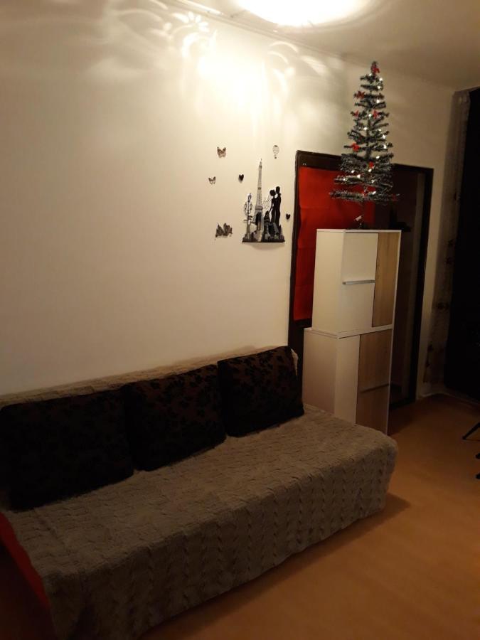 Cozy Central Studio Apartment *
