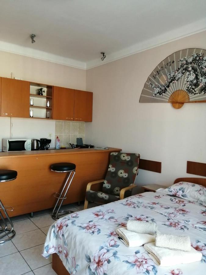 Apartament Bratianu Studio *