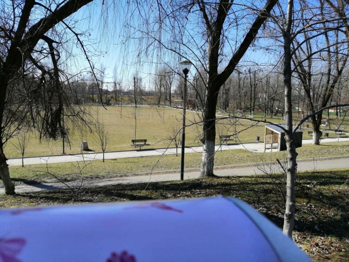 Casa Mirela Holiday home Bucharest