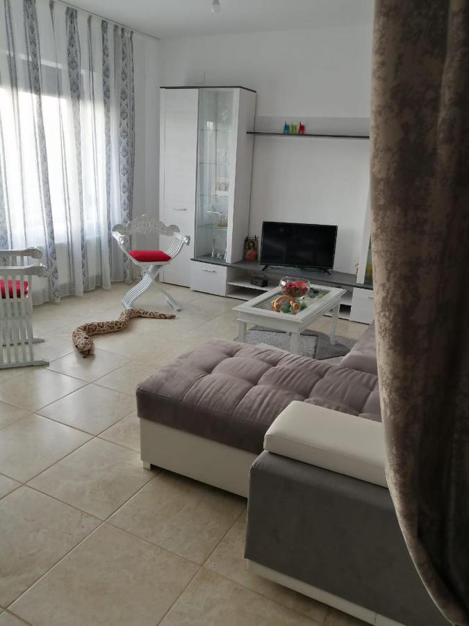 Casa Mirela Holiday home *
