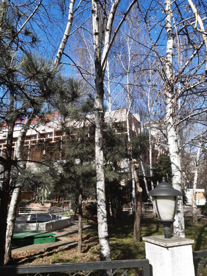 A Chic Apart Iancului Bucharest