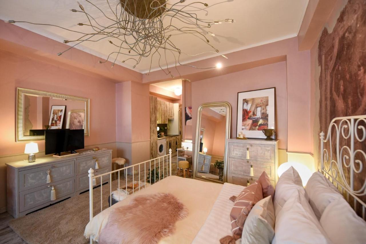 Purrfect & Dreamy - The Special Studio Bucureşti