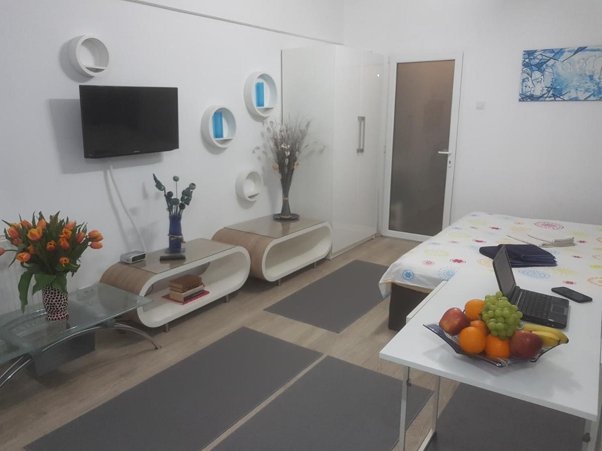 Calea Victoriei Apartment
