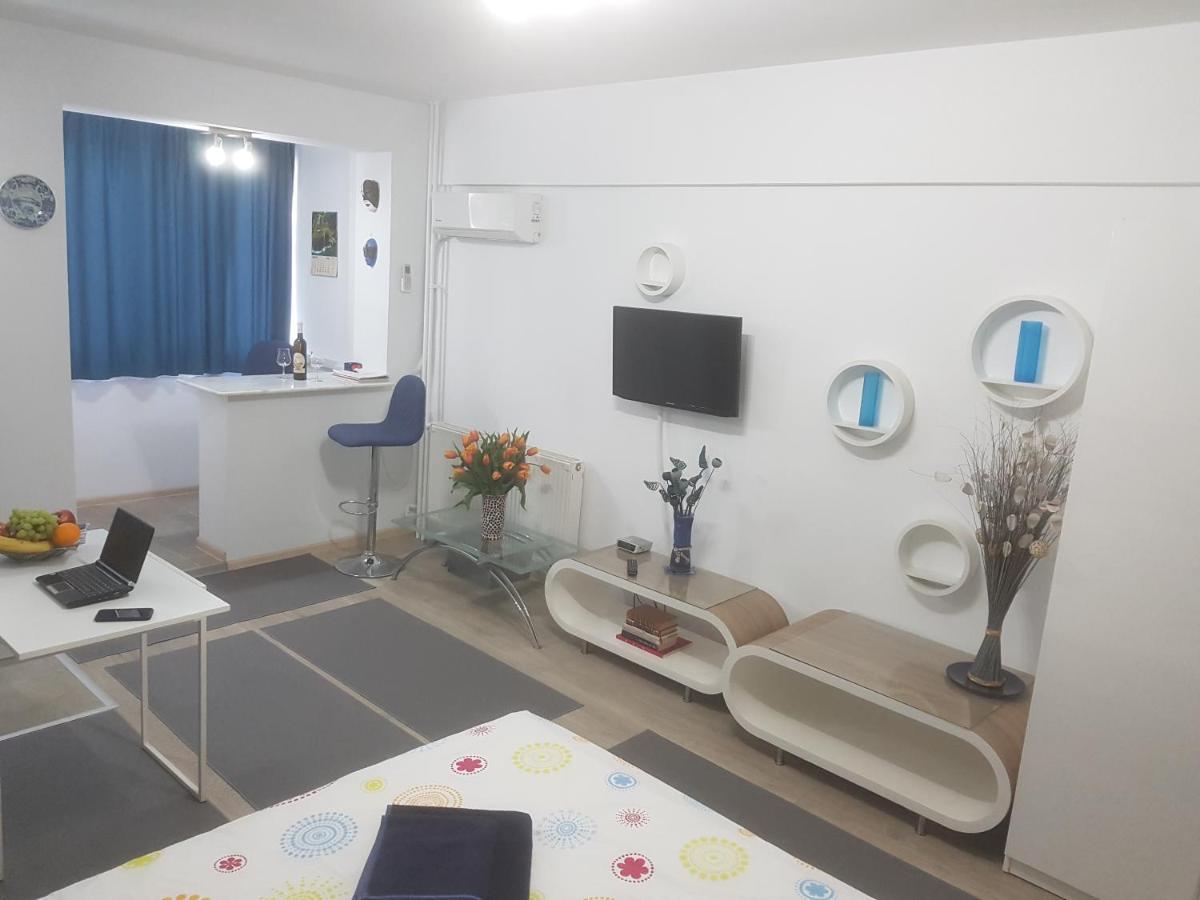 Calea Victoriei Apartment Bucharest