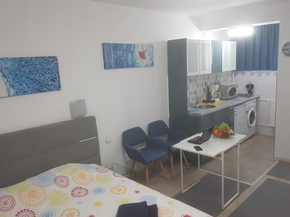 Calea Victoriei Apartment Bucharest