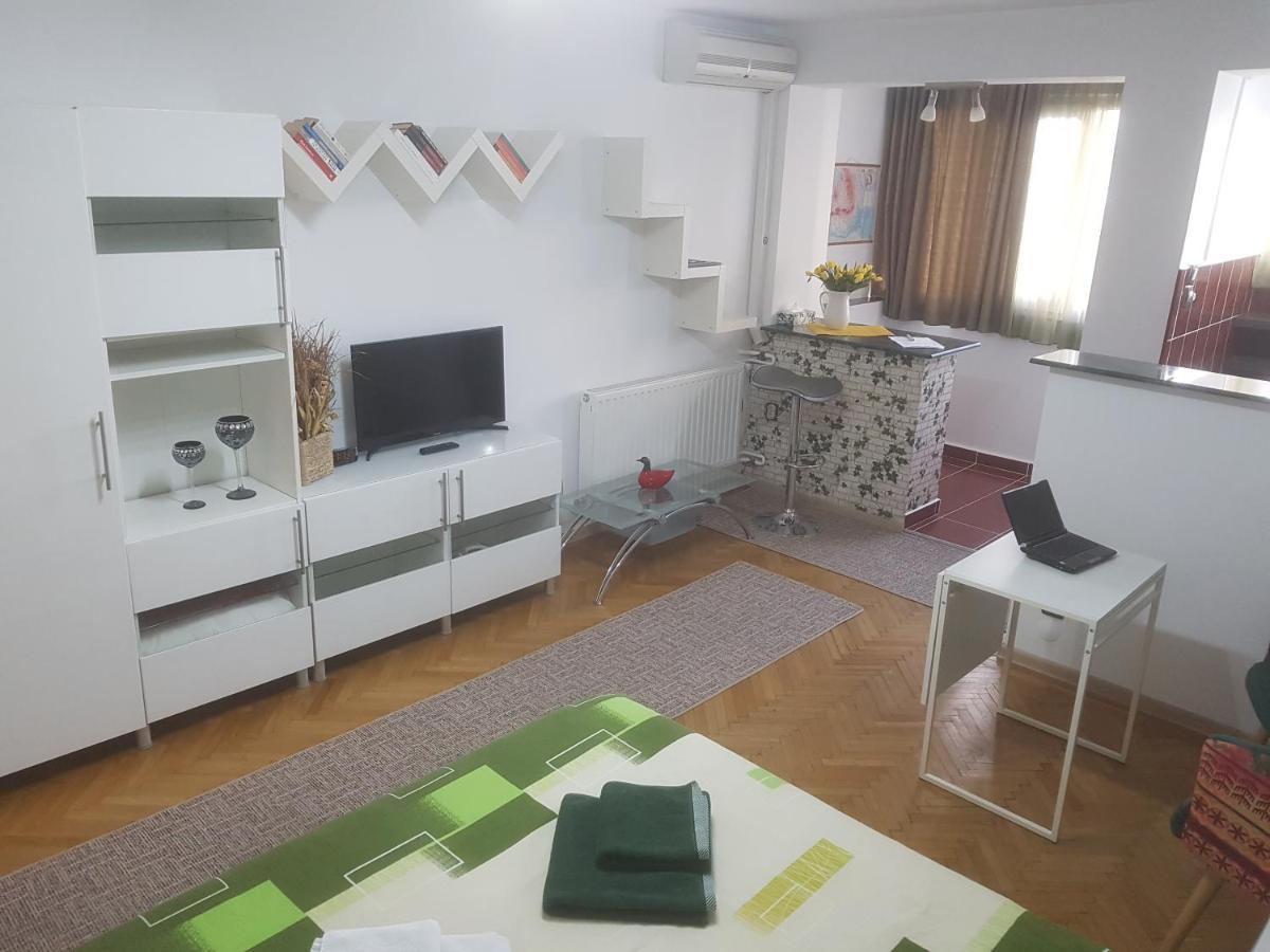 Calea Victoriei Apartment