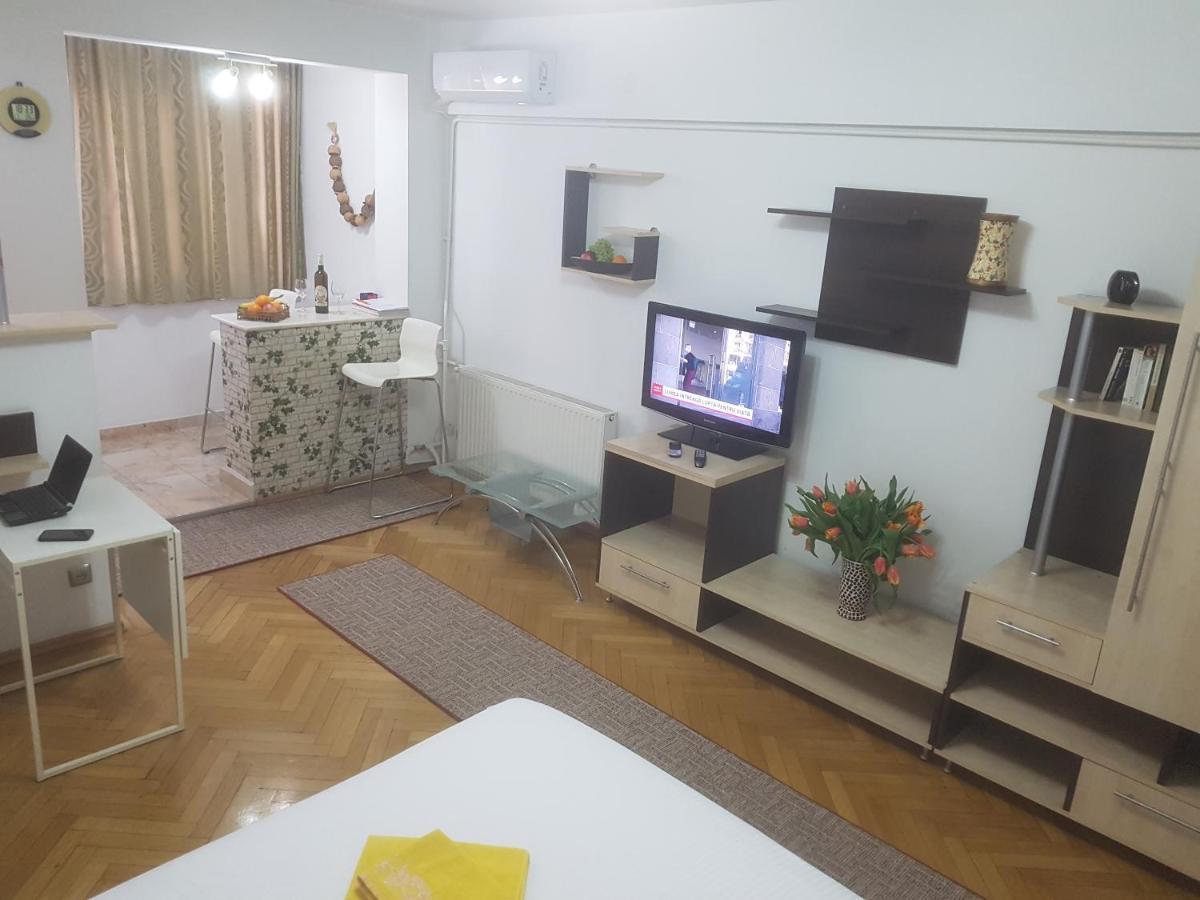 Apartment Calea Victoriei *
