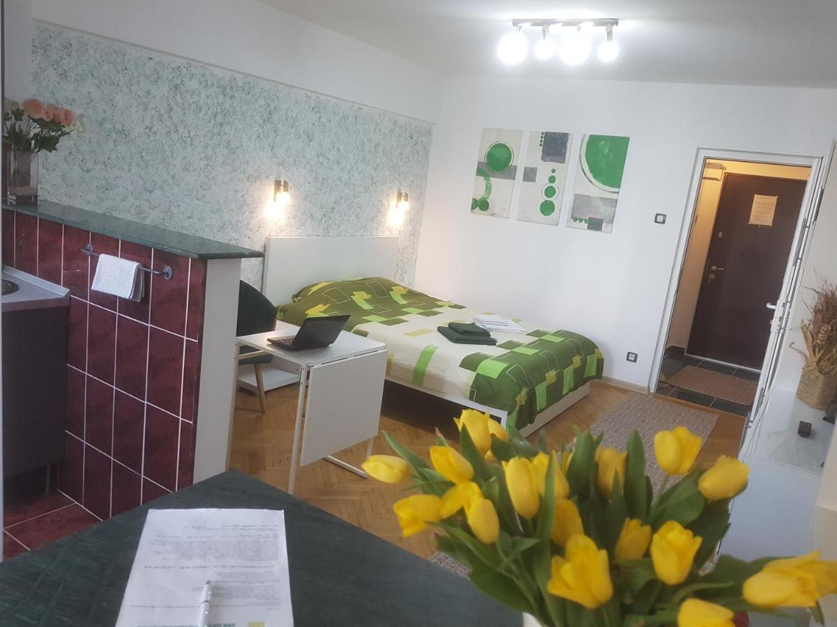 Calea Victoriei Apartment