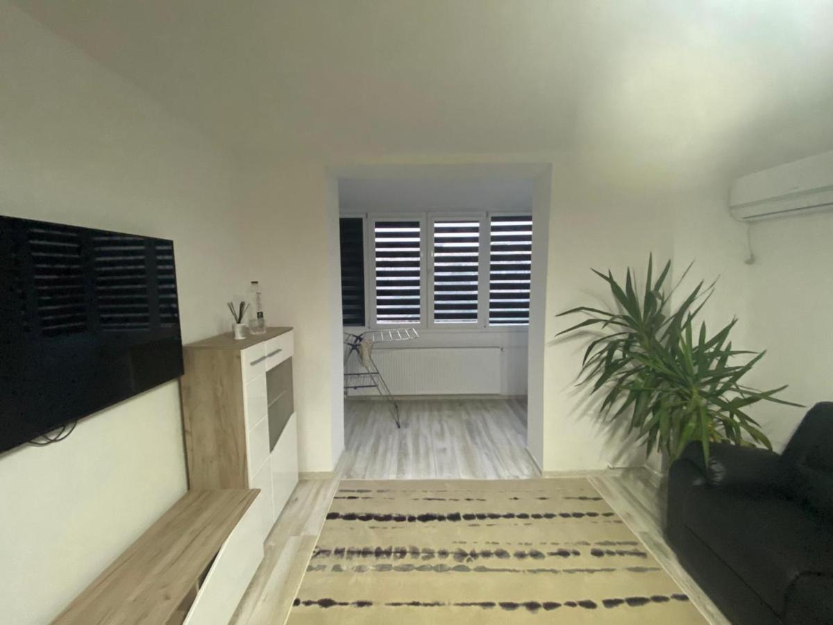 Apartment Calinescu Iulia