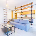 Amazing Luxury Aviatiei