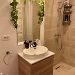 Loyal Apartments