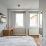 Cute Central Studios