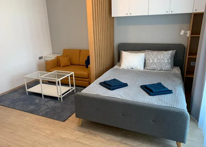 Comfort Plaza Residence Studio (Lujerului)