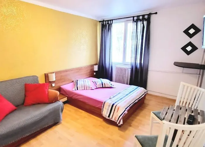 Cozy Studio Floreasca