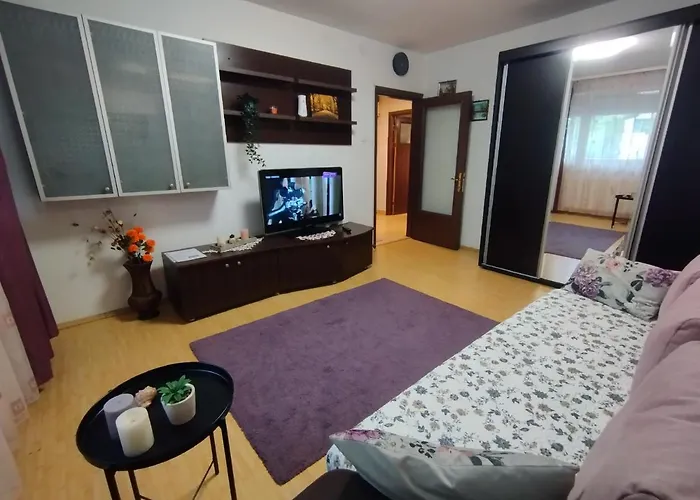Radu\'S Guest House