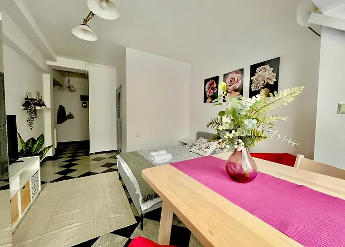 Victoriei Spacious Studio