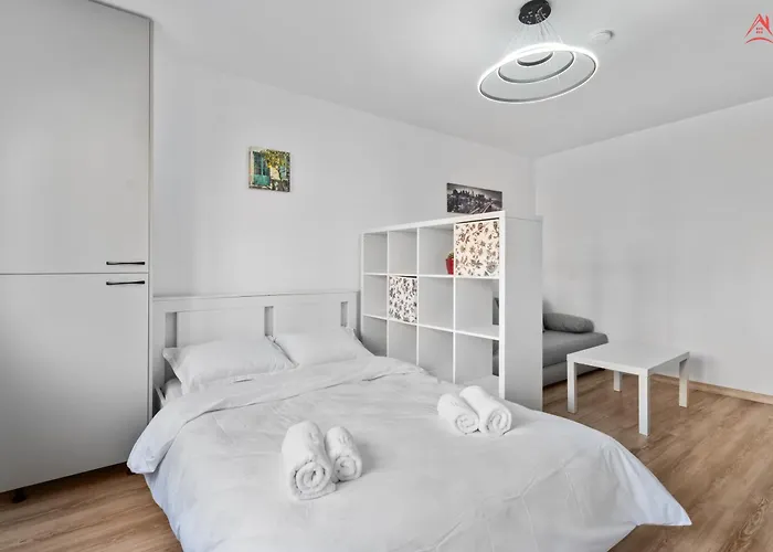 Carlas New Times Flat Tineretului