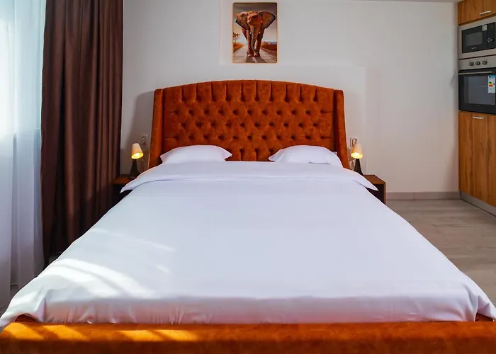 Elephant Vibe Rin Grand Hotel