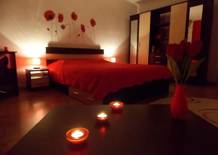 Studio Lujerului Bucuresti