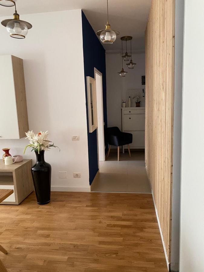Strada Smaranda Braescu Apartment
