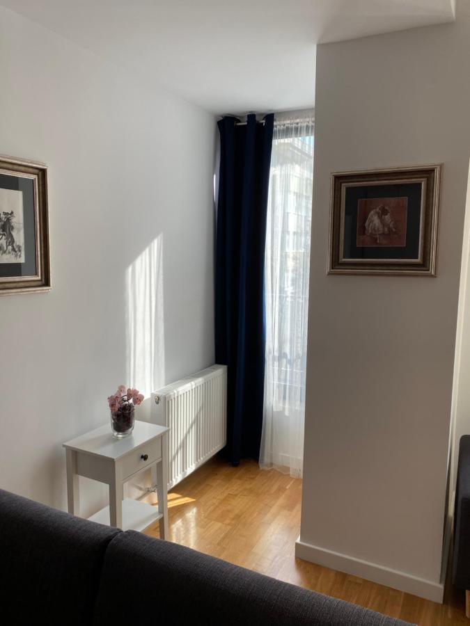 Apartment Strada Smaranda Braescu