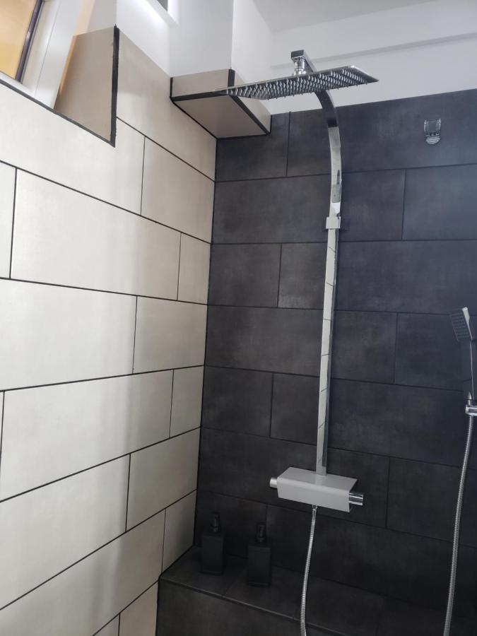 Phoenix Studio Apartment Bucharest