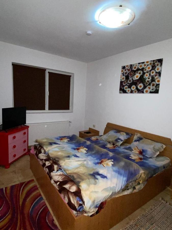 Apartament Cochet *