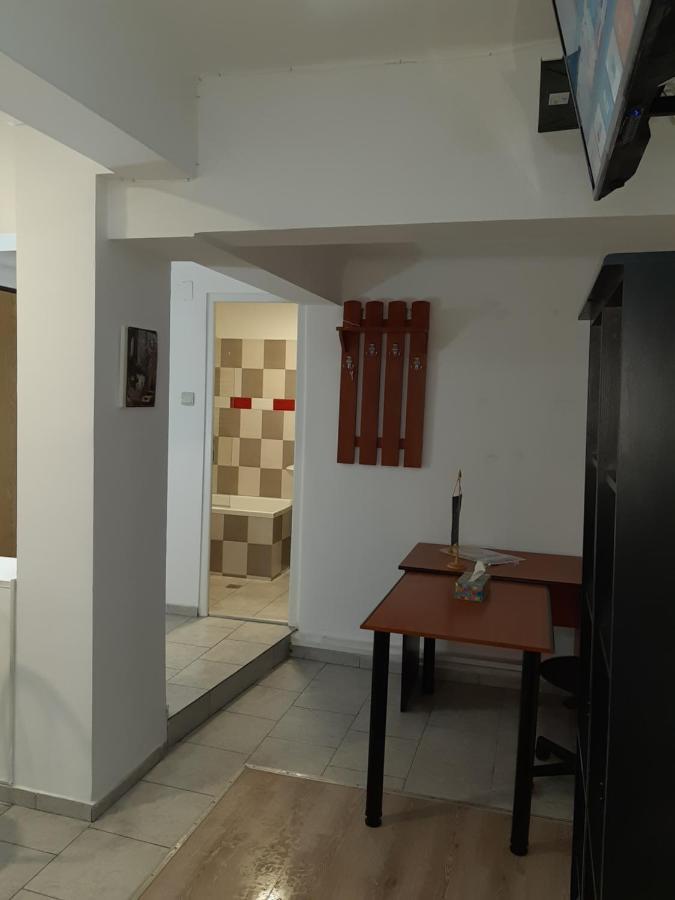 Carol 51 Hostel
