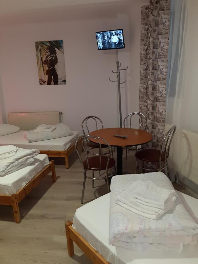 Carol 51 Hostel *