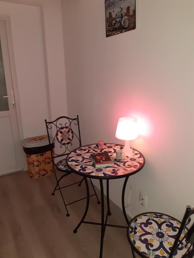 Hostel Carol 51