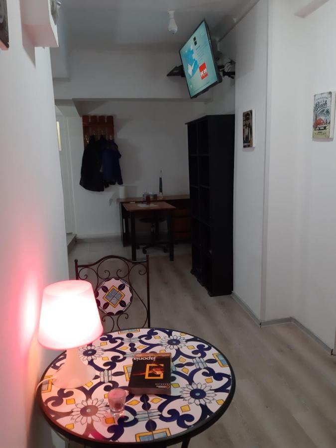 Hostel Carol 51