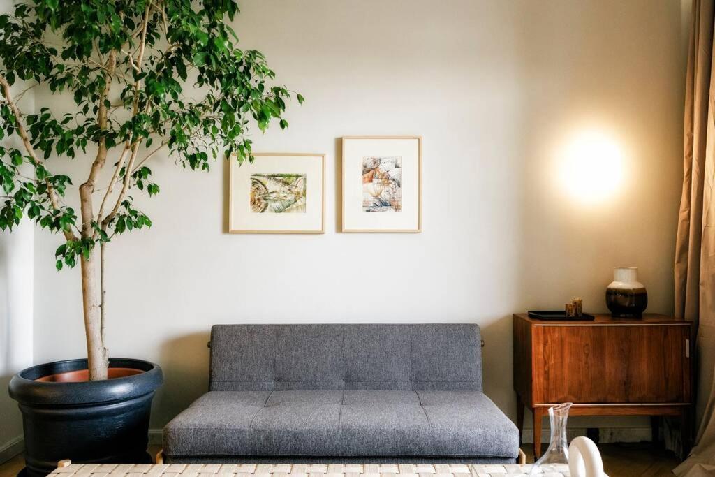 Apartamento Luxurious Huge Flat With Large Terrace Bucareste