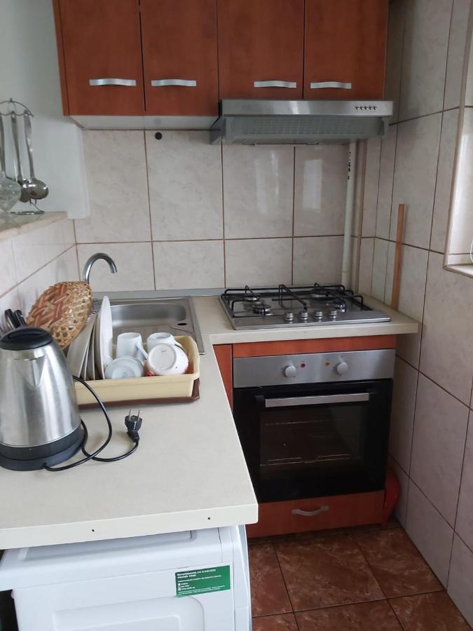 Studio Avrig Apartment
