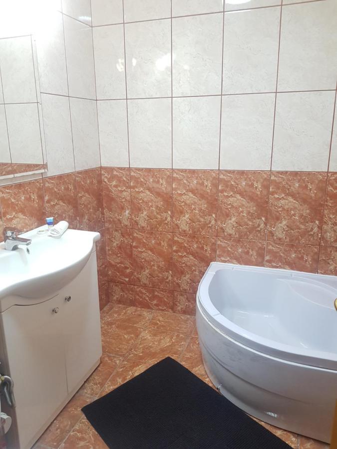 Studio Avrig Apartment