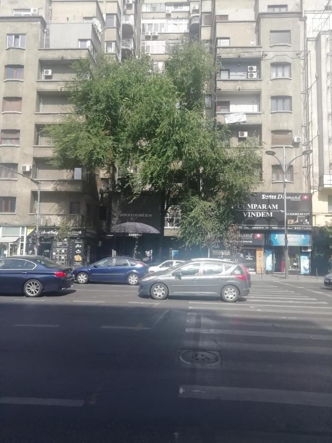 Ultracentral Universitatea Apartment Bucharest