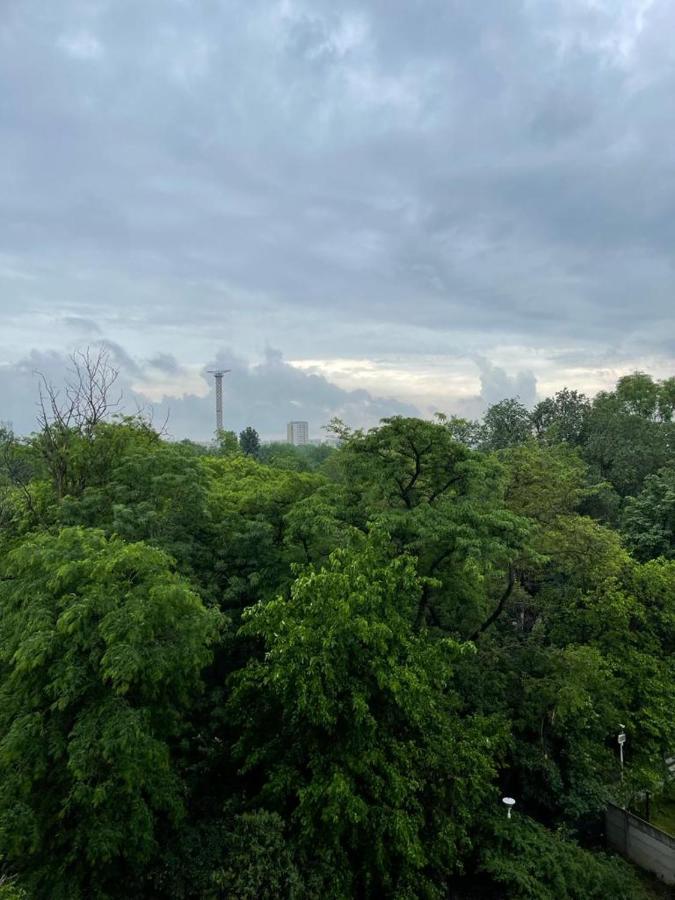 Garsoniera-studio Oxygen-40mp Nou Direct In Plaminul Verde Al Parcului National ! Parcare Privata Doar Cu Rezervare In Limita Locurilor Disponibile ! Proprietate In Regim Hoteliep - Nu Are Bucatarie ! Bucareste